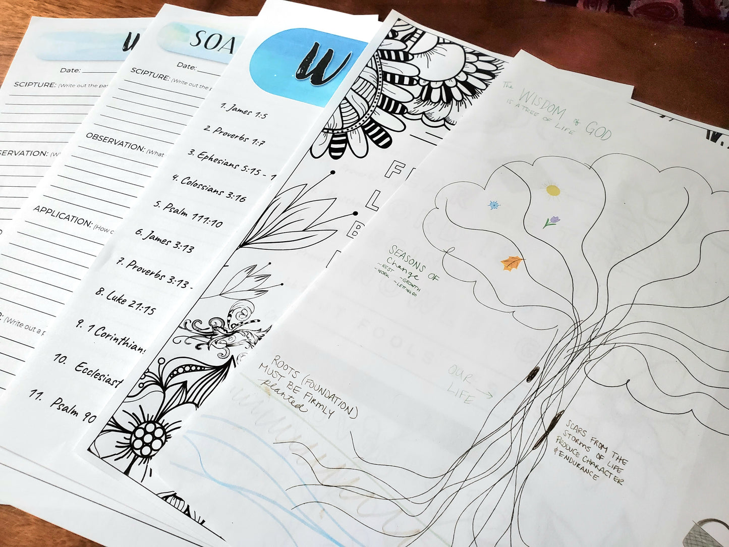 Wisdom of God Journal Study Kit