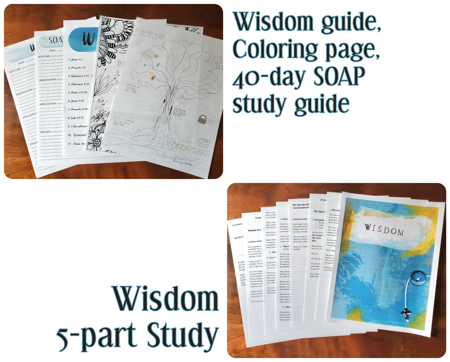 Wisdom of God Journal Study Kit