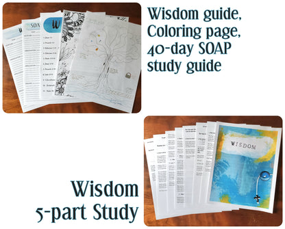 Wisdom of God Journal Study Kit