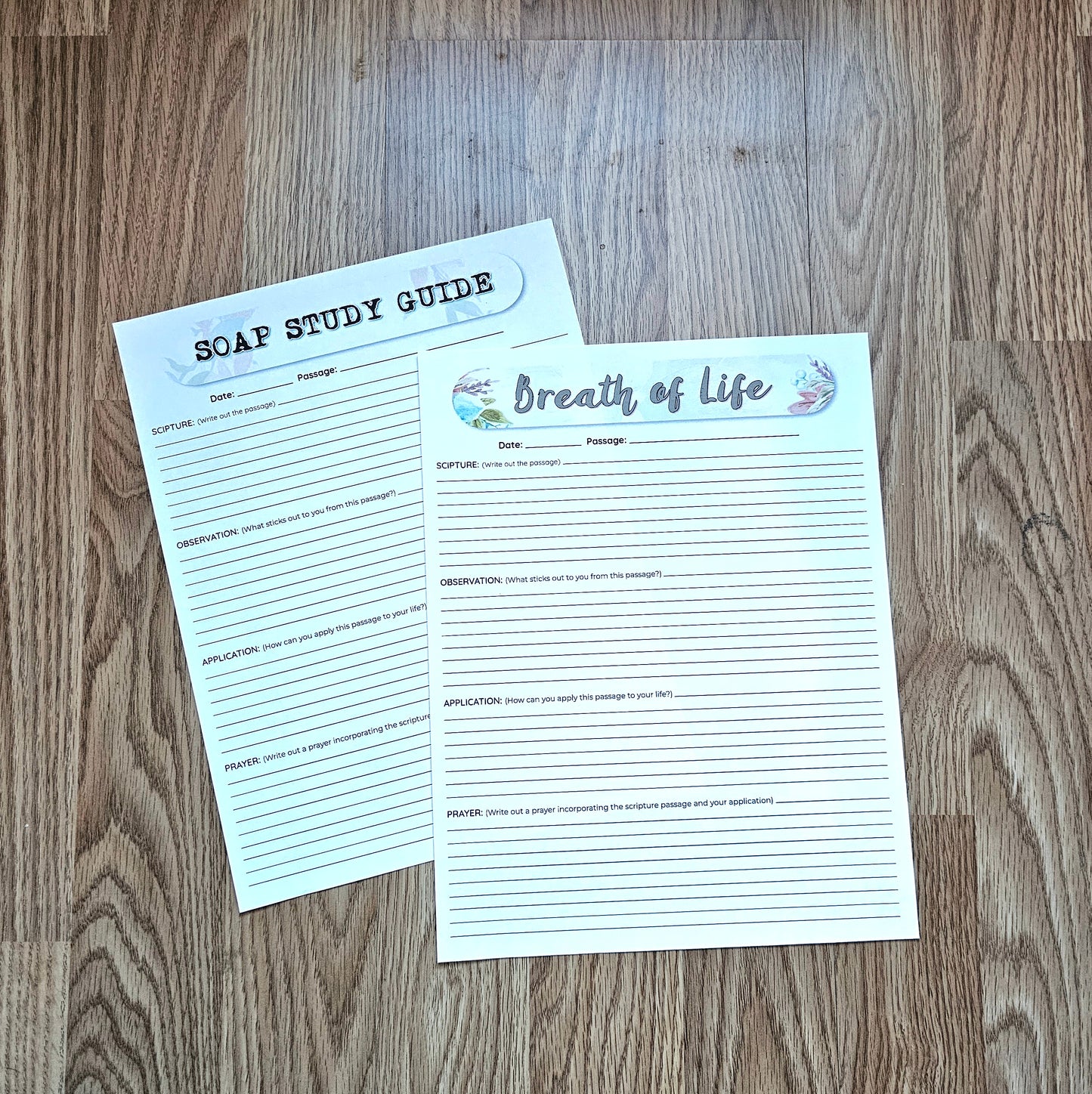 Breath of Life Pro-Life Bible SOAP Study Pack