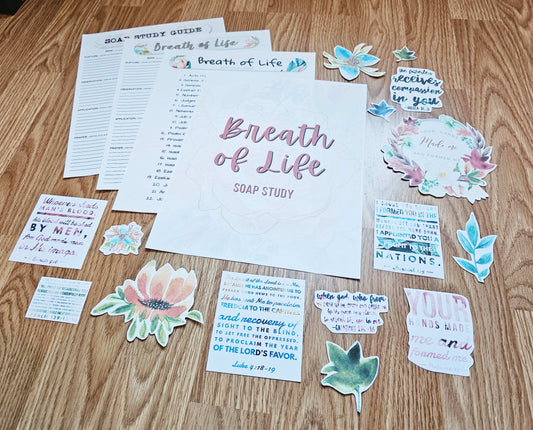 Breath of Life Pro-Life Bible SOAP Study Pack