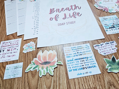 Breath of Life Pro-Life Bible SOAP Study Pack