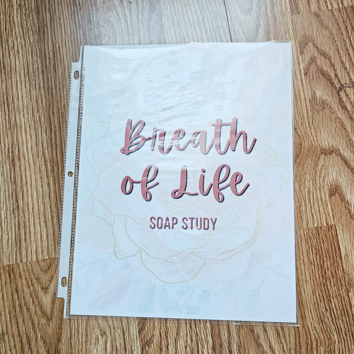 Breath of Life Pro-Life Bible SOAP Study Pack