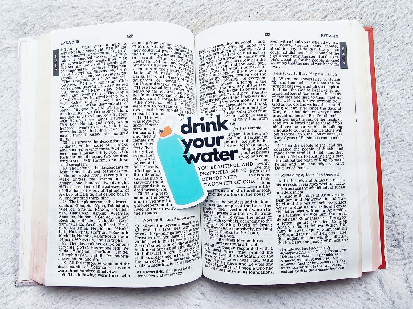 Drink Your Water Vinyl Stickers